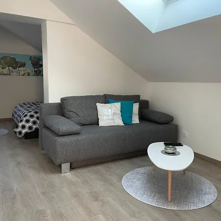 Loft Bellevue Saint-Louis (Haut-Rhin)